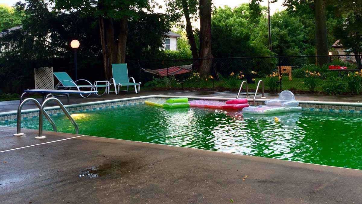 Why is my pool water green? - Pristine Pools